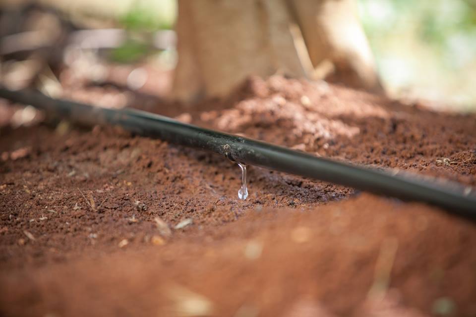 Irrigation Baltoncp Uganda